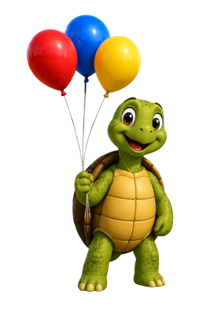 Tortoise Car Hire
